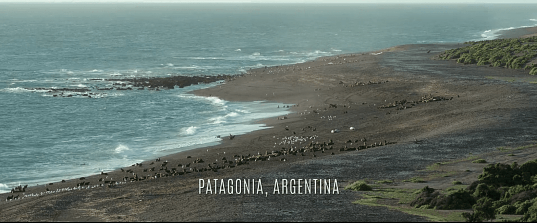 Screenshot_20200324-164836