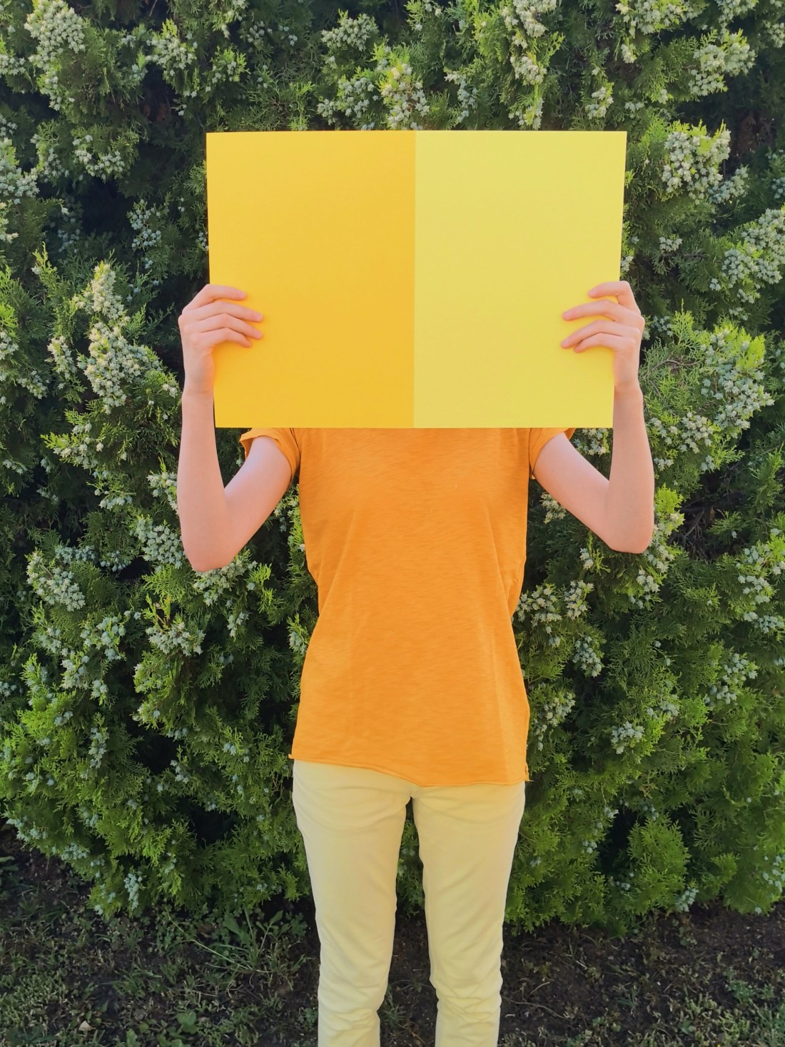 Processed with VSCO with  preset